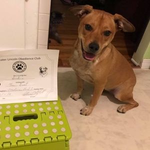 Meet your Posher, Tami